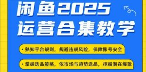 2025闲鱼电商运营全集，2025最新咸鱼玩法-轻创网