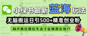 小绿书无脑搬运引流，全自动日引500精准创业粉，微信生态内又一个闷声发财的机会-轻创网