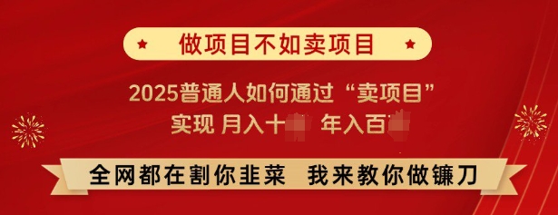 必看，做项目不如卖项目，2025普通人如何通过“卖项目”实现月入十个，年入百个-轻创网