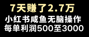 全网首发，7天赚了2.6万，2025利润超级高！-轻创网