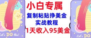 复制粘贴挣美金，0门槛，1天收入95美刀，3分钟学会，内部教程(首次公开)-轻创网