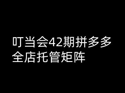 叮当会拼多多打爆班原创高阶技术第42期，拼多多全店托管矩阵-轻创网