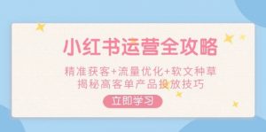 小红书运营全攻略，精准获客+流量优化+软文种草，揭秘高客单产品投放技巧-轻创网