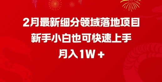 2月最新细分领域落地项目，新手小白也可快速上手，月入1W-轻创网