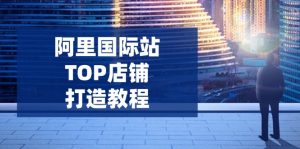 阿里国际站TOP店铺打造教程：涵盖平台到高阶，解决运营难题，提升询盘-轻创网