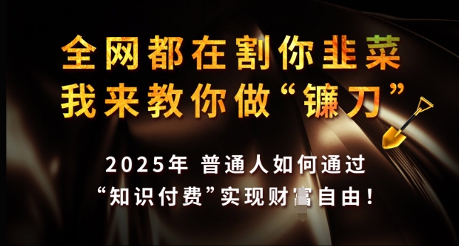 全网都在割你韭菜，我来教你做镰刀，2025年普通人如何通过 知识付费 实现财F自由【揭秘】-轻创网