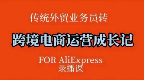 跨境电商速卖通运营课，​运营方法论+后台实操，逻辑清晰-轻创网