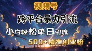 跨平台暴力引流，私域完美闭环，日引500+精准创业粉-轻创网