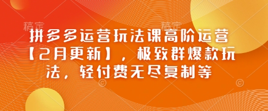拼多多运营玩法课高阶运营【2月更新】，极致群爆款玩法，轻付费无尽复制等-轻创网
