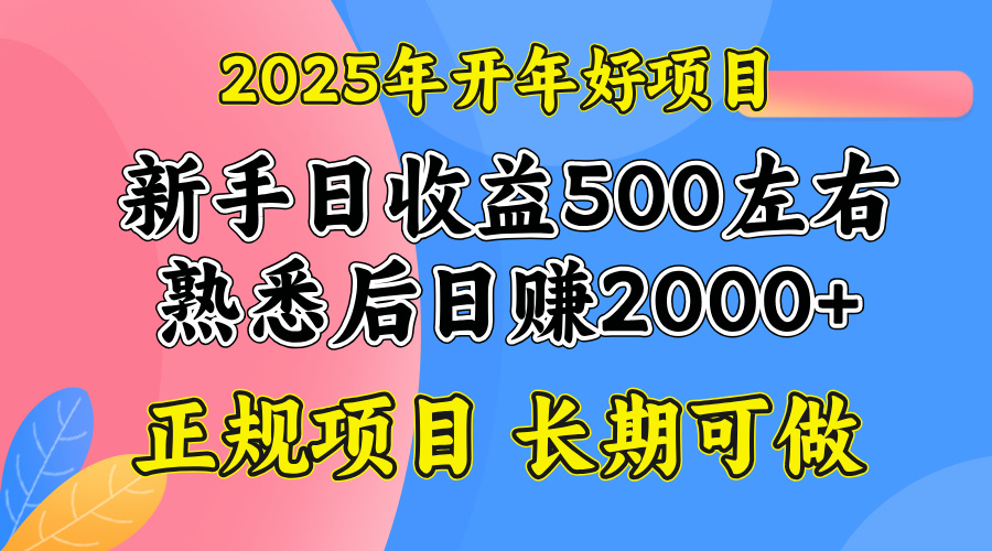 2025开年好项目，单号日收益2000左右-轻创网