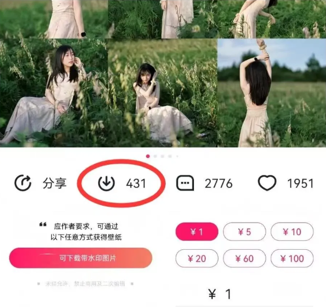 最新图虫搬运项目，收益无上限，利用AI小白也可日赚500+-轻创网