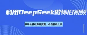 利用DeepSeek做怀旧视频，流量号多渠道变现能力强-轻创网