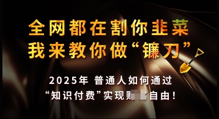 知识付费如何做到月入过W+，2025我来教你做“镰刀”【揭秘】-轻创网