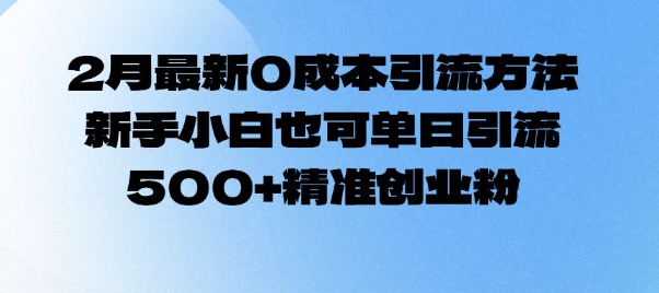2月最新0成本引流方法，新手小白也可单日引流500+精准创业粉-轻创网