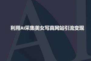 利用AI采集美女写真网站引流变现，引流嘎嘎的-轻创网
