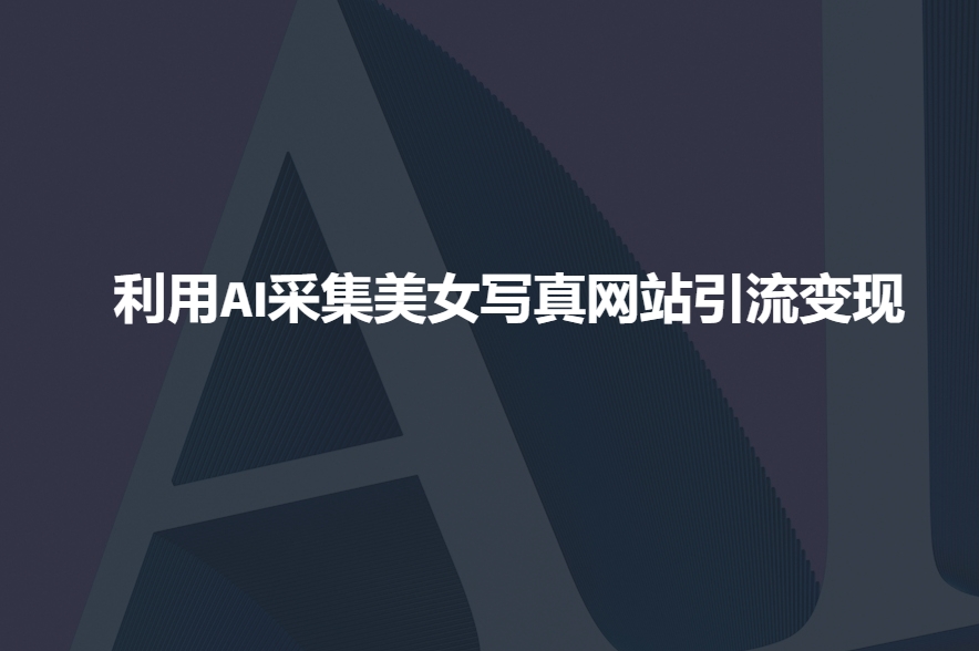利用AI采集美女写真网站引流变现，引流嘎嘎的-轻创网