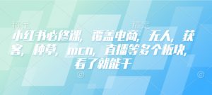 小红书必修课,覆盖电商,无人,获客,种草,mcn,直播等多个板块,看了就能干-轻创网