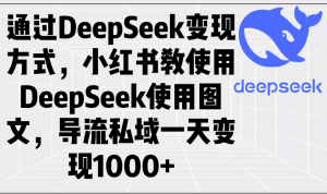通过DeepSeek变现方式，小红书教使用DeepSeek图文，导流私域一天变现1000+-轻创网