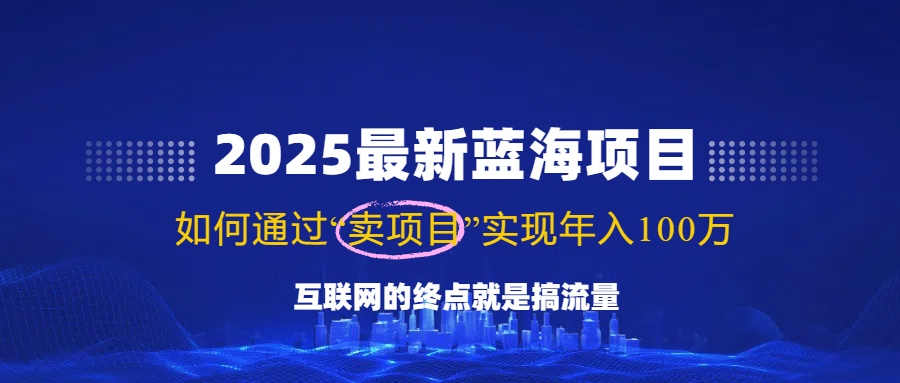 2025最新蓝海项目，零门槛轻松复制，月入10万+，新手也能操作！-轻创网