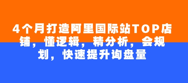 4个月打造阿里国际站TOP店铺，懂逻辑，精分析，会规划，快速提升询盘量-轻创网