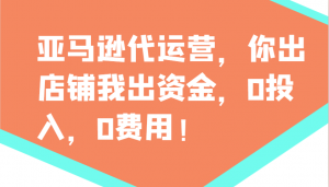 亚马逊代运营，你出店铺我出资金，0投入，0费用，无责任每天300分红，赢亏我承担-轻创网