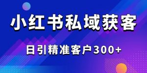 2025最新小红书平台引流获客截流自热玩法讲解，日引精准客户300+-轻创网