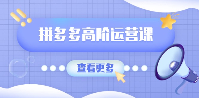 拼多多高阶运营课：极致群爆款玩法，轻付费无尽复制，打造单品爆款之路-轻创网