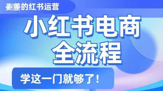 小红书电商全流程，精简易懂，从入门到精通，学这一门就够了-轻创网