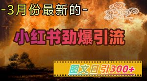 小红书超劲爆引流手段，图文日引300+轻松变现1W-轻创网