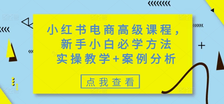 小红书电商高级课程，新手小白必学方法，实操教学+案例分析-轻创网