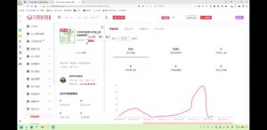 2025小红书虚拟电商实战课-轻创网