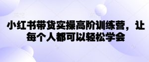 小红书带货实操高阶训练营，让每个人都可以轻松学会-轻创网