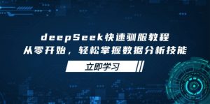 deepSeek快速驯服教程，从零开始，轻松掌握数据分析技能-轻创网
