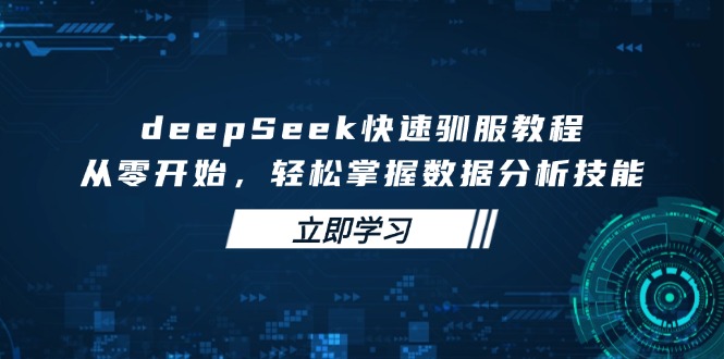 deepSeek快速驯服教程，从零开始，轻松掌握数据分析技能-轻创网