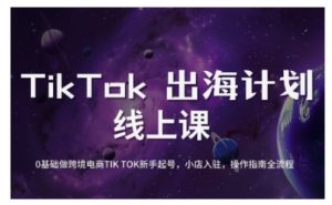 TikTok跨境电商新手起号与运营全攻略，0基础做跨境电商TIKTOK新手起号，小店入驻，操作指南全流程-轻创网