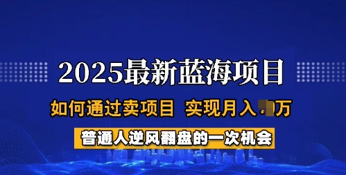 2025蓝海项目，普通人如何通过卖项目，实现月入过W，全过程【揭秘】-轻创网