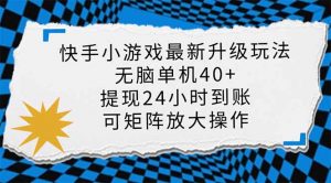 快手小游戏最新版升级玩法，新风口，无脑单机日入40+，可批量放大，小...-轻创网
