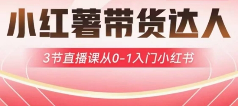 小红薯达人带货启航计划，3节直播课从0-1入门小红书-轻创网