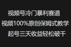 视频号冷门暴利赛道视频100%原创保姆式教学起号三天收益轻松破千-轻创网