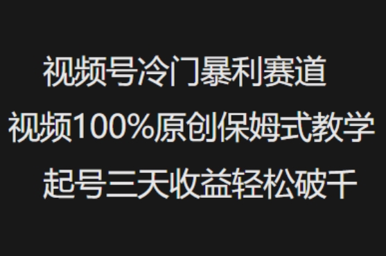 视频号冷门暴利赛道视频100%原创保姆式教学起号三天收益轻松破千-轻创网