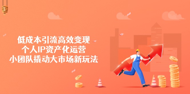低成本引流高效变现，个人IP资产化运营，小团队撬动大市场新玩法-轻创网