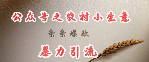 deepseek写农村小项目，条条爆款，暴力引流-轻创网