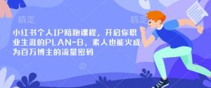 小红书个人IP陪跑课程，开启你职业生涯的PLAN-B，素人也能火成为百万博主的流量密码-轻创网