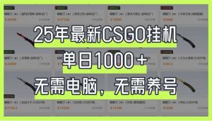 25年最新CSGO挂机系统，单日1000+，无需电脑，无需养号，0基础可上手-轻创网