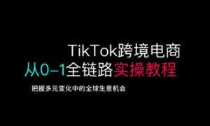 TikTok跨境电商从0-1全链路全方位实操教程，把握多元变化中的全球生意机会-轻创网