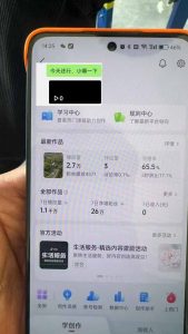 抖音暴力涨粉技术：一天轻松1-10万粉，技术不确定真实性，自测-轻创网