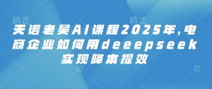 天诺老吴AI课程2025年，电商企业如何用deeepseek实现降本提效-轻创网