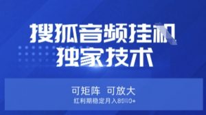 【搜狐音频挂G】独家技术，可矩阵可放大，红利期稳定月入8k【揭秘】-轻创网