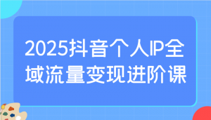 2025抖音个人IP全域流量变现进阶课：选爆品、抖音付费投流、千川投流实操及优化等-轻创网
