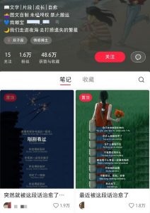 小红书治愈文案图文笔记，零门槛，一分钟制作轻松制作爆款作品月入万元-轻创网